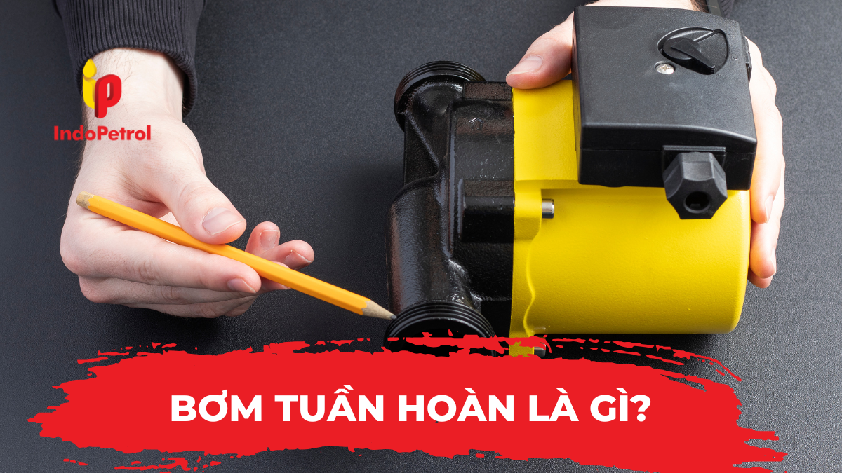 Bơm Tuần Hoàn Là Gì?