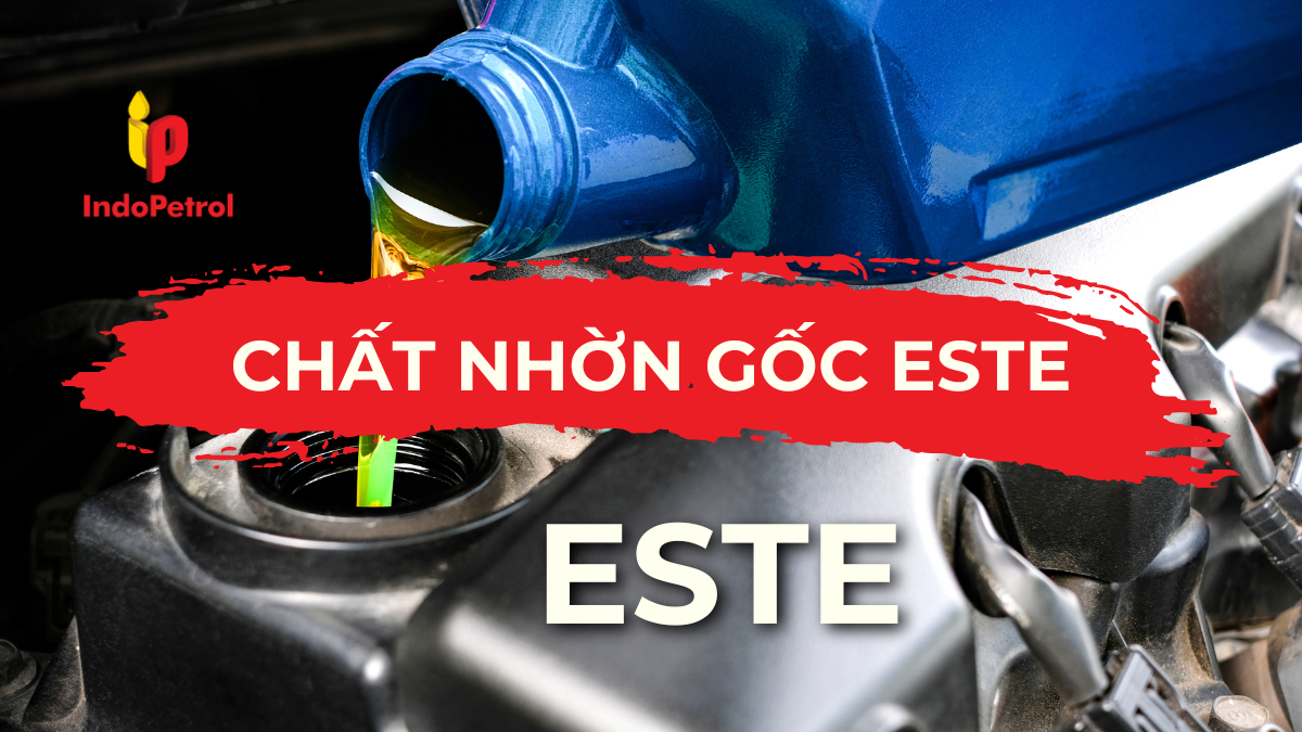 Chất Nhờn Gốc Este