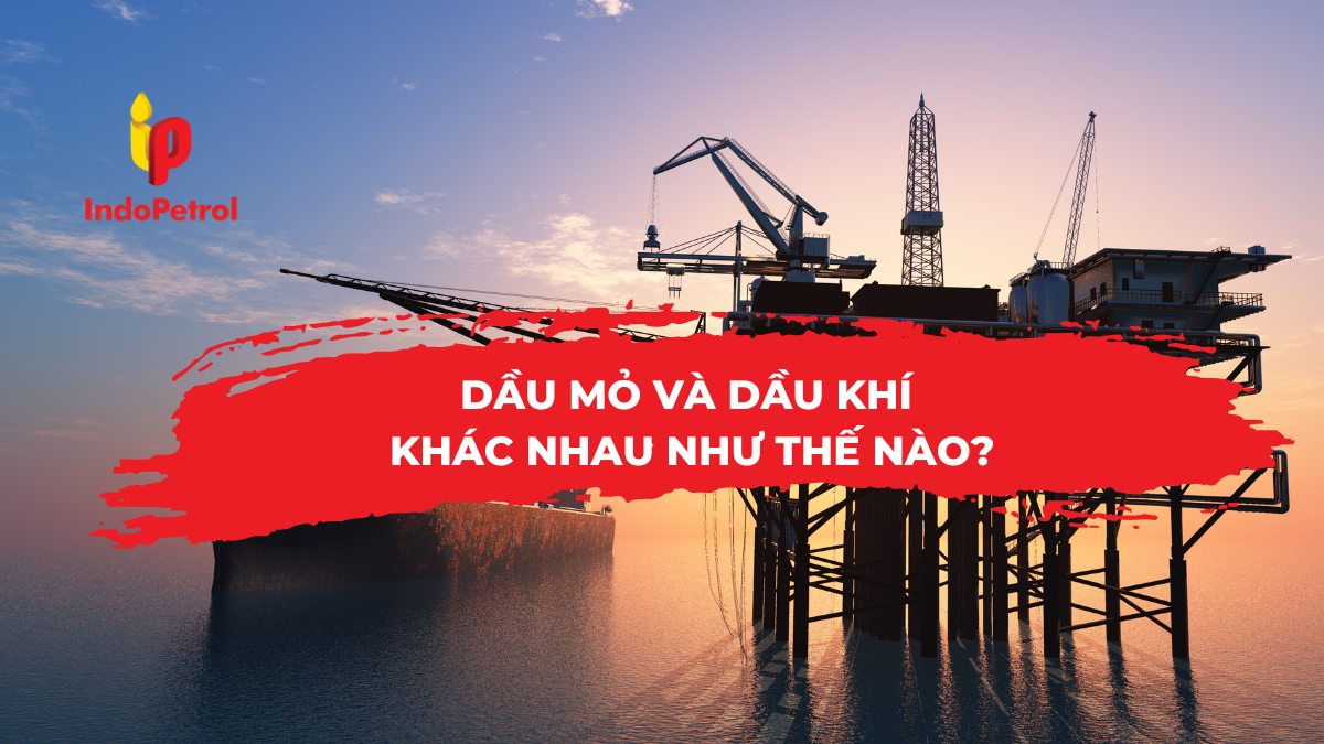Dầu Mỏ Và Dầu Khí Khác Nhau Như Thế Nào?