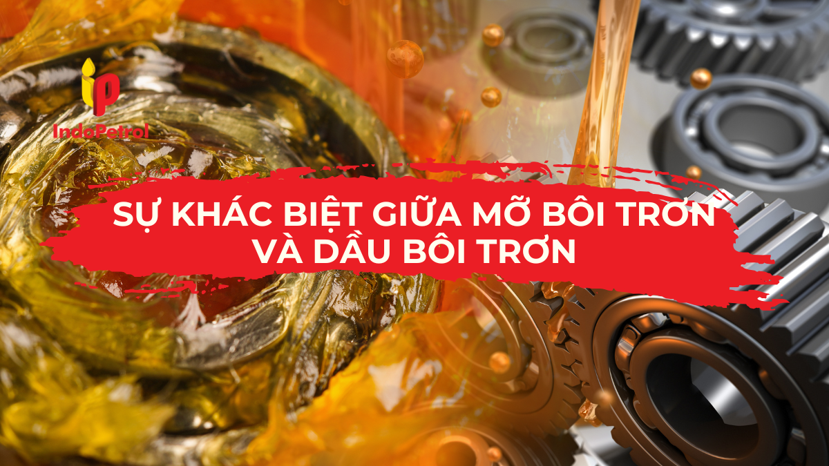 Sự Khác Biệt Giữa Mỡ Bôi Trơn Và Dầu Bôi Trơn Là Gì?
