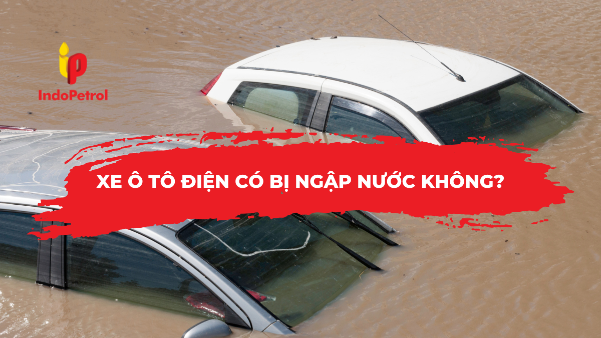 Xe Ô Tô Điện Có Bị Ngập Nước Không?