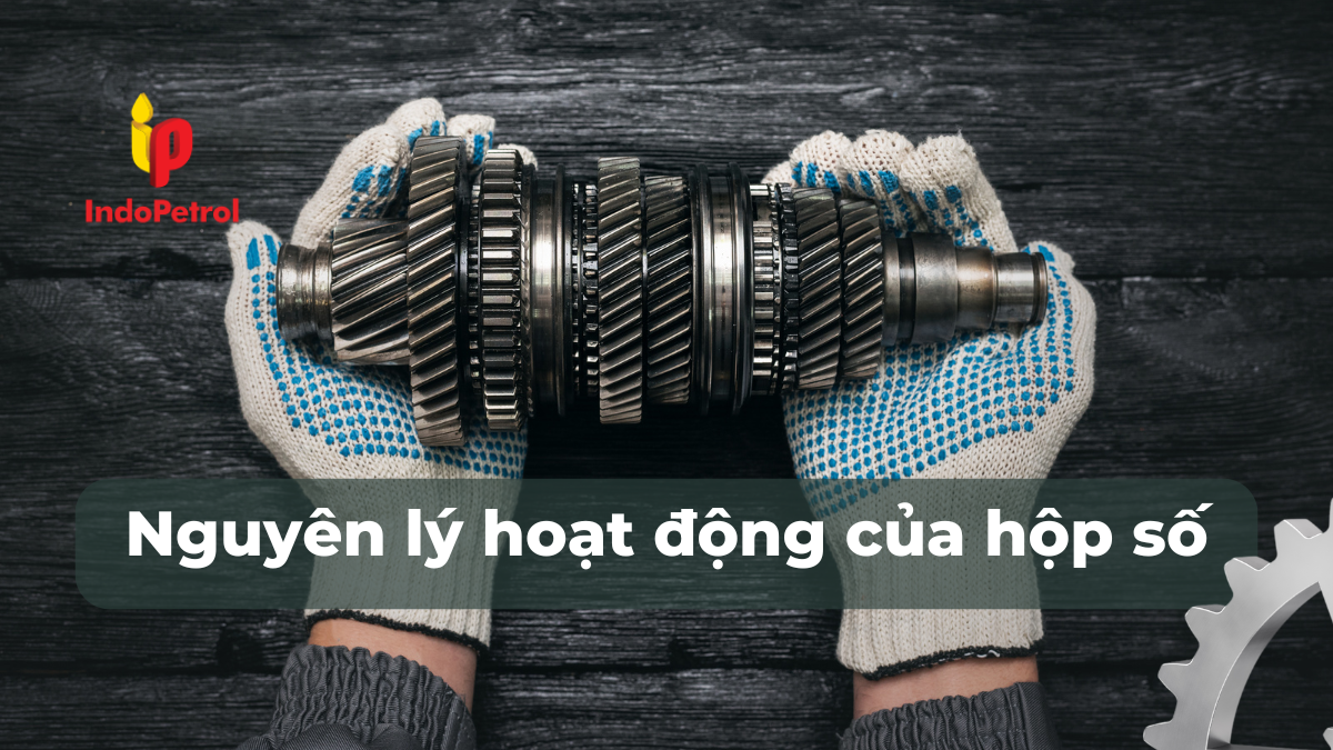 Nguyên Lý Hoạt Động Của Hộp Số