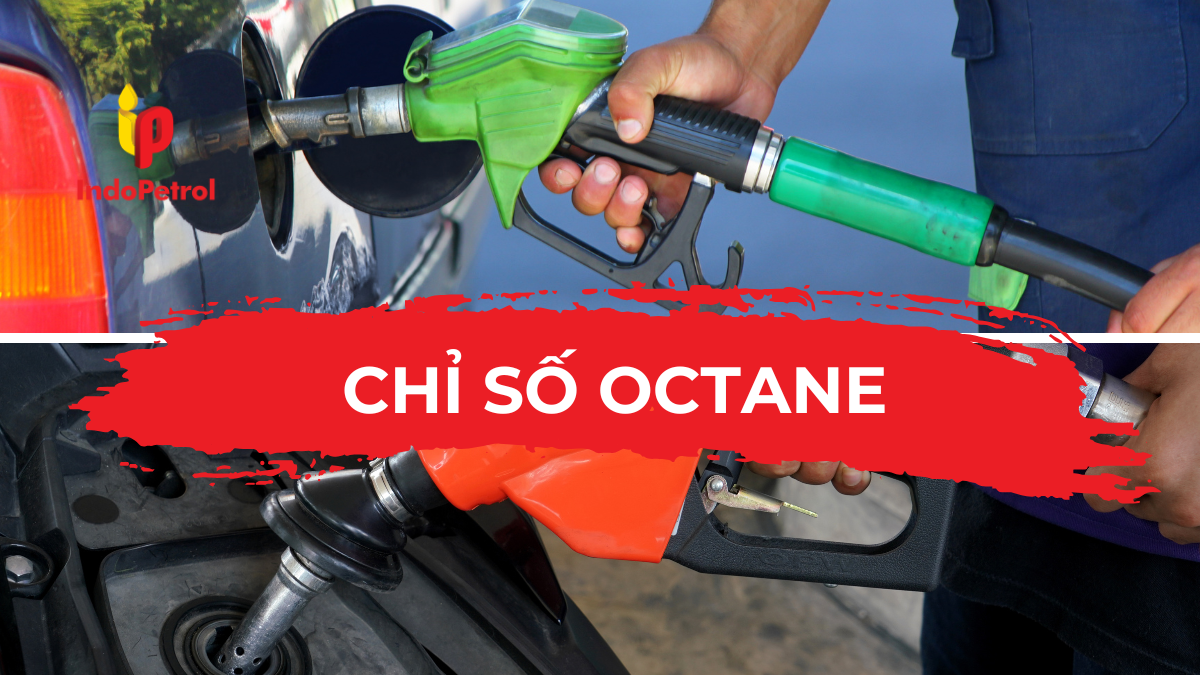 Chỉ Số Octane