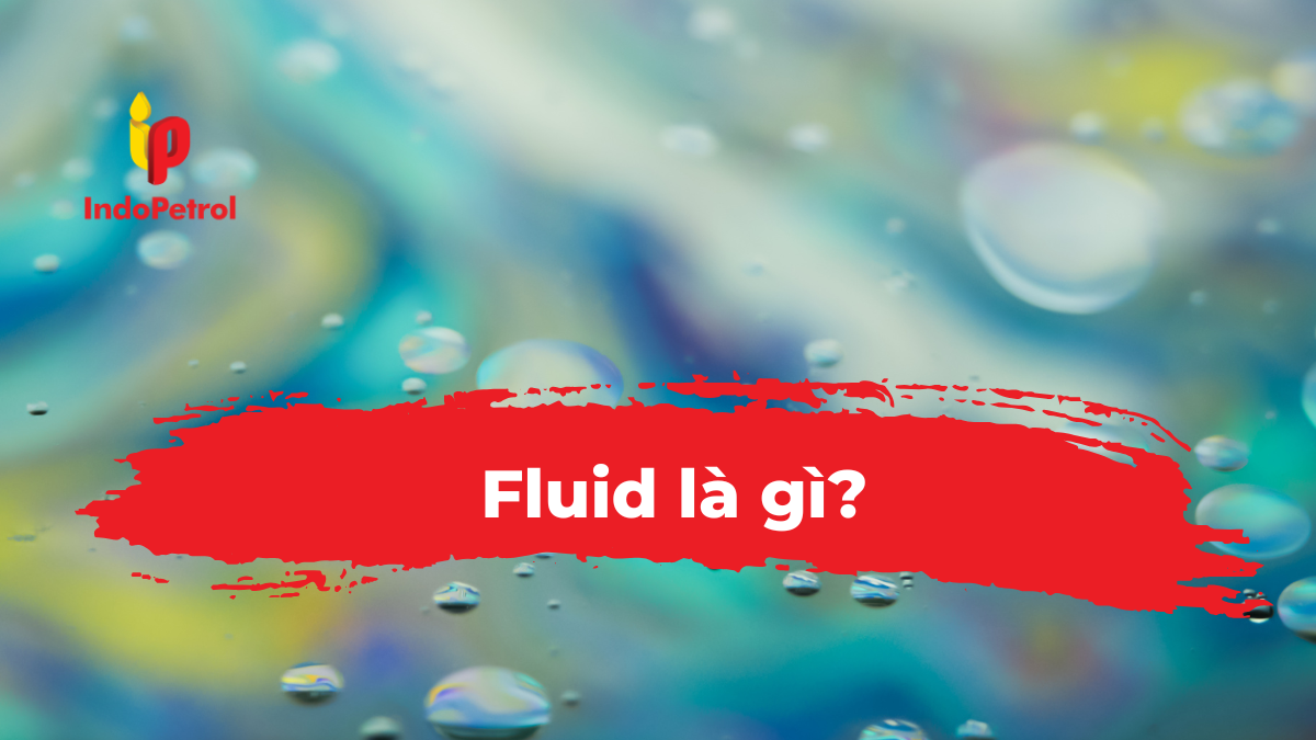 Fluid là gì?