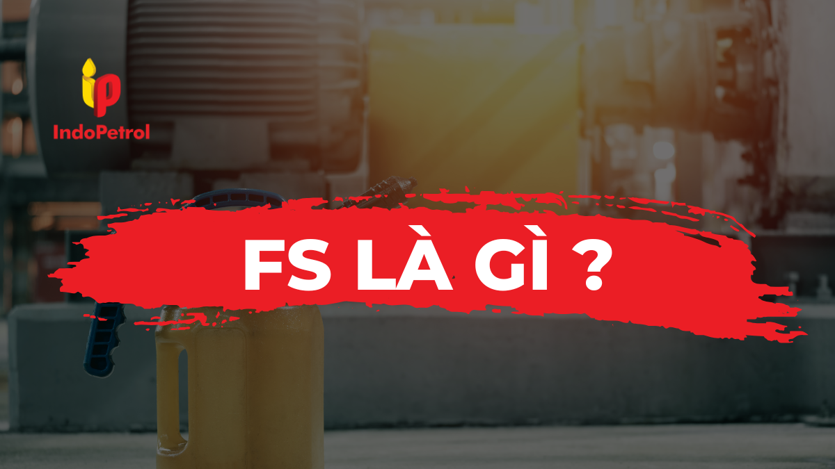 FS Là Gì?